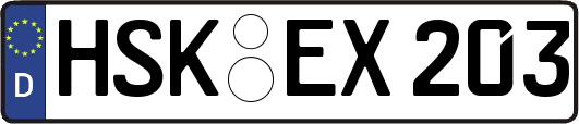 HSK-EX203