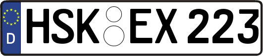 HSK-EX223