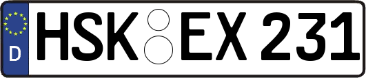 HSK-EX231