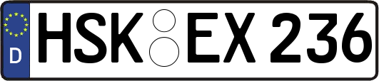 HSK-EX236