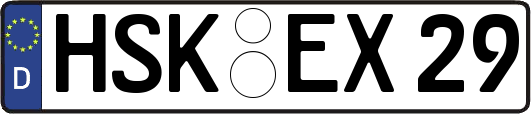 HSK-EX29
