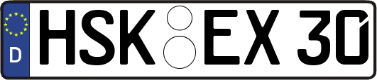 HSK-EX30