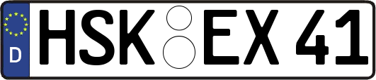 HSK-EX41