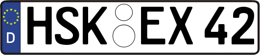 HSK-EX42