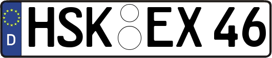 HSK-EX46