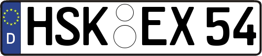 HSK-EX54