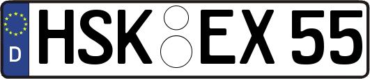 HSK-EX55