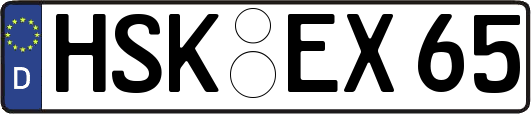 HSK-EX65