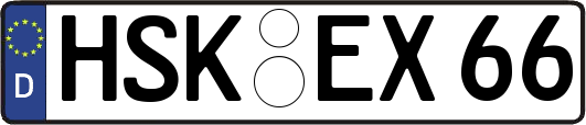 HSK-EX66