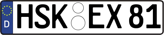 HSK-EX81
