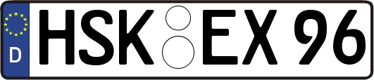 HSK-EX96
