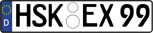 HSK-EX99