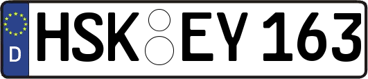HSK-EY163