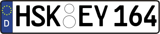 HSK-EY164
