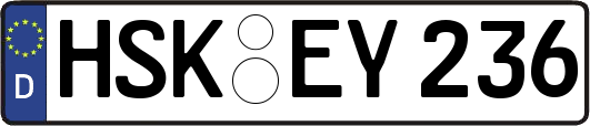 HSK-EY236