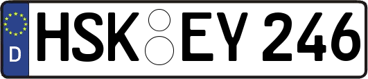 HSK-EY246