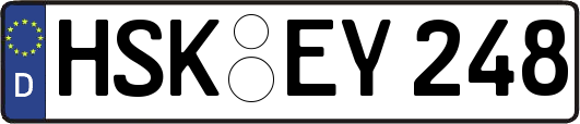 HSK-EY248