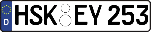 HSK-EY253