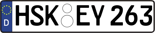 HSK-EY263