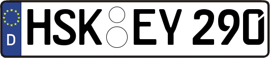 HSK-EY290