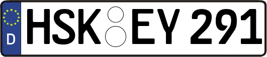 HSK-EY291