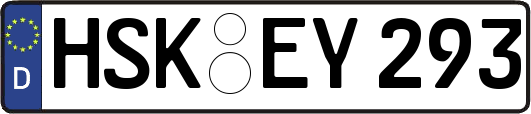 HSK-EY293