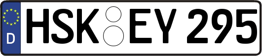 HSK-EY295