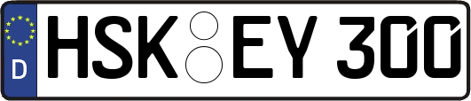 HSK-EY300