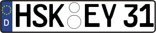 HSK-EY31