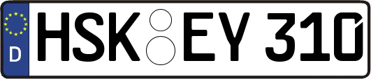 HSK-EY310