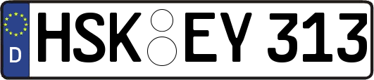 HSK-EY313