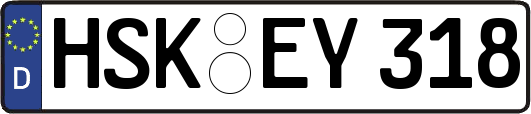 HSK-EY318