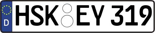 HSK-EY319