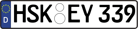 HSK-EY339