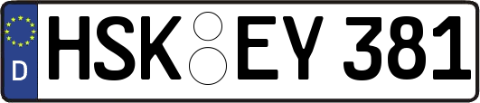 HSK-EY381