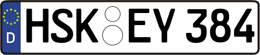 HSK-EY384