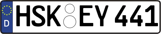 HSK-EY441
