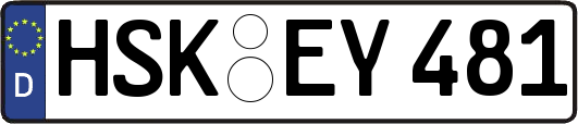 HSK-EY481