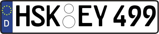HSK-EY499