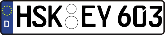HSK-EY603