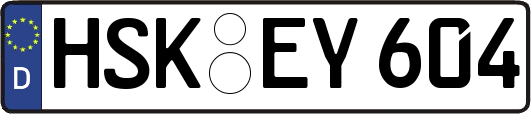 HSK-EY604