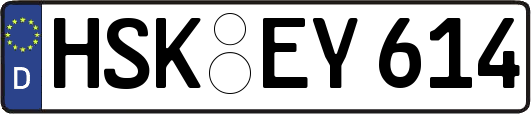 HSK-EY614