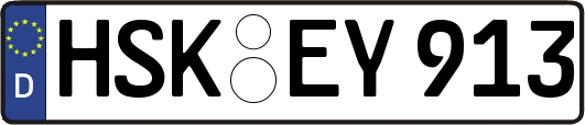 HSK-EY913