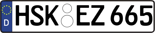 HSK-EZ665