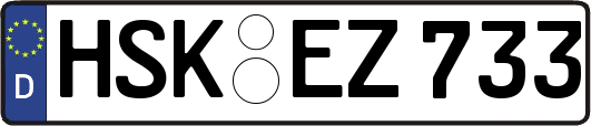 HSK-EZ733