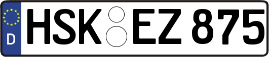 HSK-EZ875