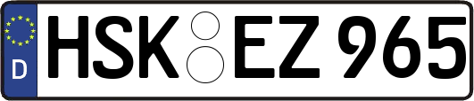 HSK-EZ965