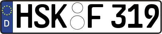 HSK-F319