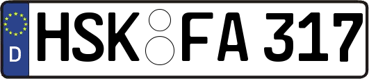 HSK-FA317