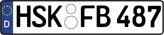 HSK-FB487
